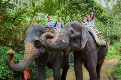 Paradiso and his family ride elephants in Kerala, India. Photo courtesy of David Paradiso.