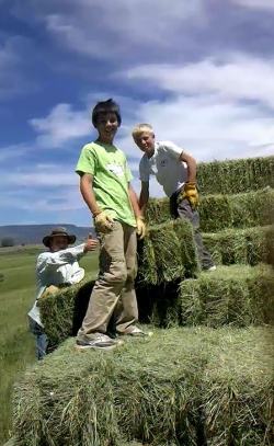 Willey and his friends working on his hay farm. Photo courtesy of Preston Willey.